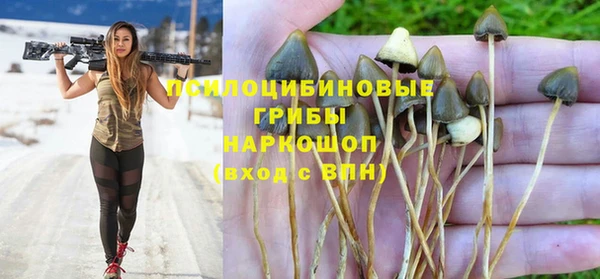 дживик Горнозаводск