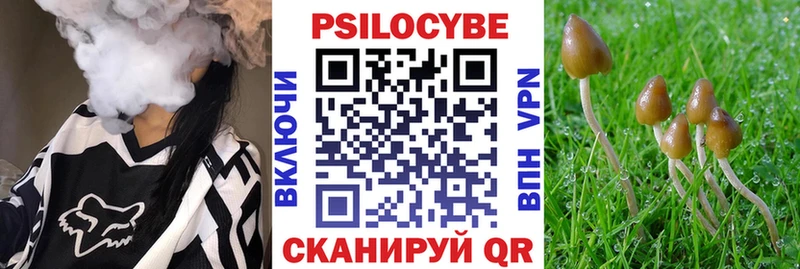 Галлюциногенные грибы мухоморы  мега сайт  Зеленогорск 