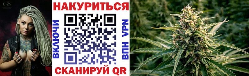 Каннабис сатива Зеленогорск